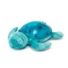 Cloud-B Veilleuse Tortue Tranquil Turtle Aqua De Cloud B